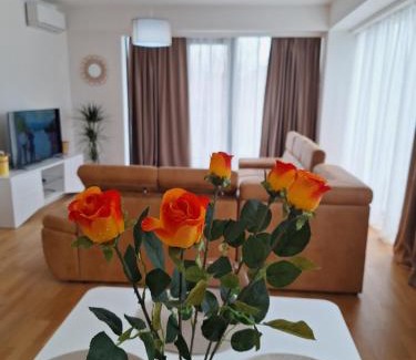 Tomicici Apartment | Apartment Teodo magico