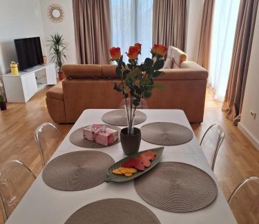 Tomicici Apartment | Apartment Teodo magico