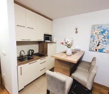 Jahorina Apartment | Apartment U 154 - Aparthotel Vučko