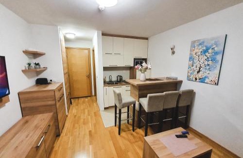 Jahorina Apartment | Apartment U 154 - Aparthotel Vučko