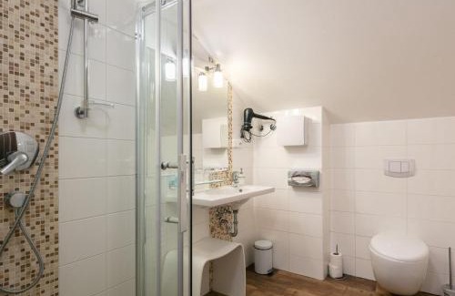 Janske Lazne Apartment | Apartment U Kabinky 6-2 by Interhome