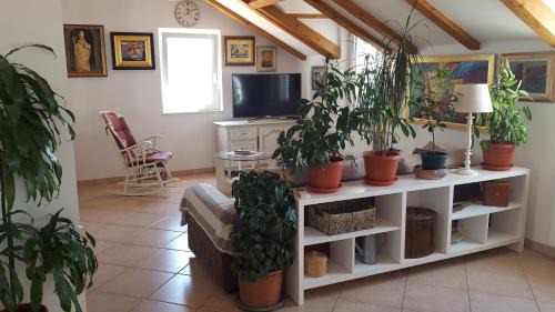 Ploce Apartment | Apartment Varina