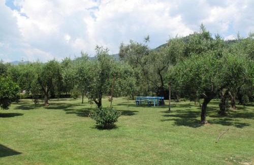 Capanne-Prato-Cinquale Apartment | Apartment Wilma by Interhome