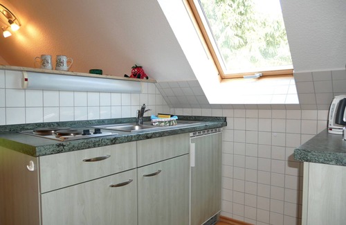 Dargen Apartment | Apartment with balcony - Schwalbenhof Görke, quiet location, balcony or terrace