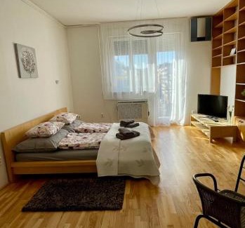 Lagymanyos Apartment | Apartment with nice view