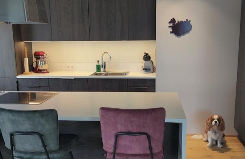 Reykjavik Apartment | Apartment with view