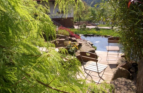 Seebach Apartment | Apartment 'Wohnung Mit Terasse Im Schwarzwald' with Mountain View, Private Terrace and Wi-Fi