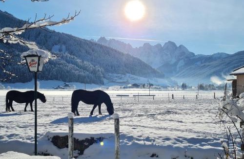 Gosau Apartment | Apartmenthaus Edelweiss in Gosau