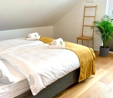Mainz-Bingen Apartment | Apartmentkombi Eltville für bis zu 8 Personen