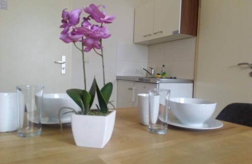 Innenstadt Apartment | Apartmentpension am Stadtschloss