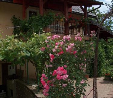 Catrnja Apartment | Apartments Ana