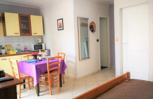 Pjescana Uvala Apartment | Apartments Bilic with garden & swimming pool - 50m from the beach