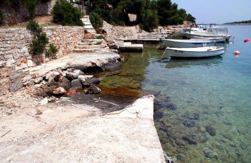 Cove Basina (Jelsa) Apartment | Apartments by the sea Basina, Hvar - 8754