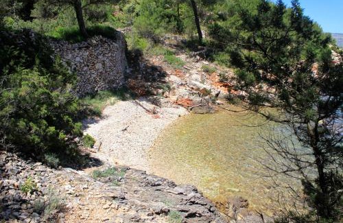 Cove Basina (Jelsa) Apartment | Apartments by the sea Basina, Hvar - 8754