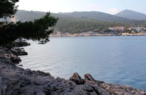 Pokrivenik Apartment | Apartments by the sea Cove Pokrivenik, Hvar - 5224