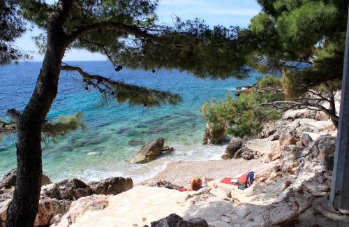 Ivan Dolac Apartment | Apartments by the sea Ivan Dolac, Hvar - 4584