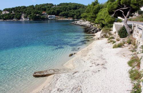 Sumartin Apartment | Apartments by the sea Sumartin, Brac - 764