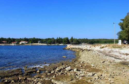 Krizine Apartment | Apartments by the sea Sveti Ivan, Umag - 7002