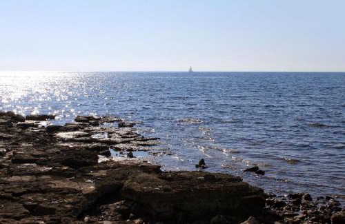 Krizine Apartment | Apartments by the sea Sveti Ivan, Umag - 7002