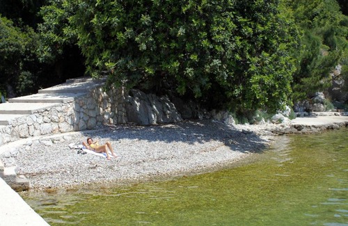 Zaton Apartment | Apartments by the sea Zaton Mali (Dubrovnik) - 12120