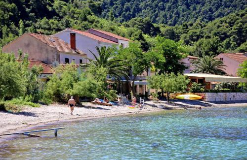 Zuljana Apartment | Apartments by the sea Zuljana, Peljesac - 4577