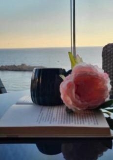 Sveti Stefan Apartment | Apartments Dzaleta