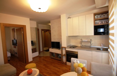 Zlatibor Villa | Apartments Egoiste - One-Bedroom Apartment
