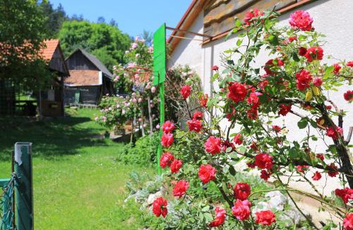 Perusic Apartment | Apartments for families with children Perusic (Velebit) - 17540