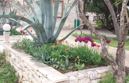 Sumartin Apartment | Apartments Franka