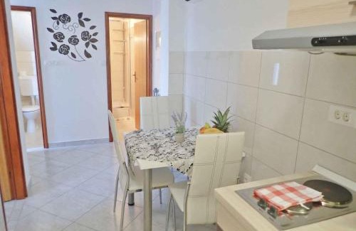 Baric Draga Apartment | Apartments in Baric Draga 38513