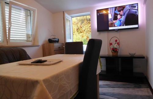 Medvinjak Apartment | Apartments Ivancevic