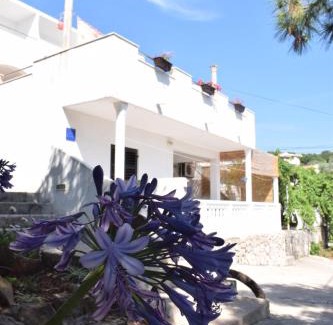 Molunat Apartment | Apartments Klara