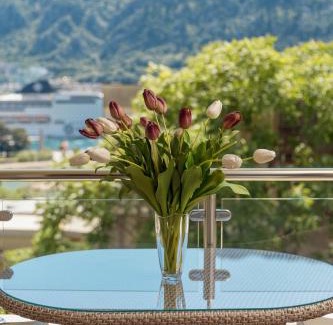 Kotor Apartment | Apartments Los Olivos