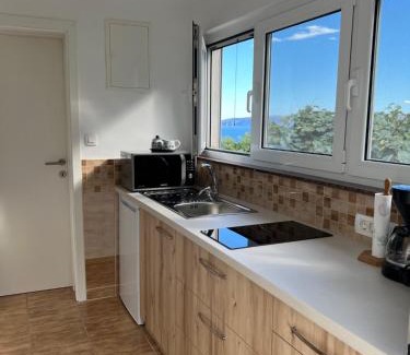 Donji Kraj Apartment | Apartments Mandic - Učka