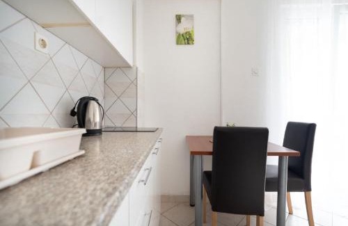 Gornji Karin Apartment | Apartments Milic - One Bedroom Apartment with Sea View and Terrace