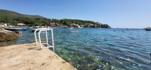 Molunat Apartment | Apartments Miovic