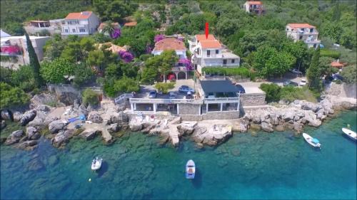 Molunat Apartment | Apartments Miovic