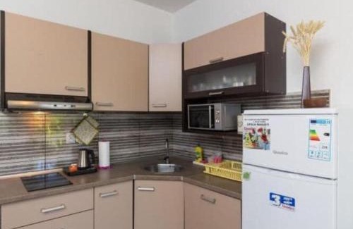 Brasina Apartment | Apartments Olive - Comfort One Bedroom Apartment with Terrace and Sea View - Popolica 50