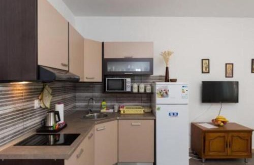Brasina Apartment | Apartments Olive - Comfort One Bedroom Apartment with Terrace and Sea View - Popolica 50