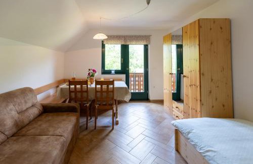 Studor Apartment | Apartments Omahen
