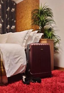 Ternopil's'ka oblast Apartment | Apartments on Festyvalna street