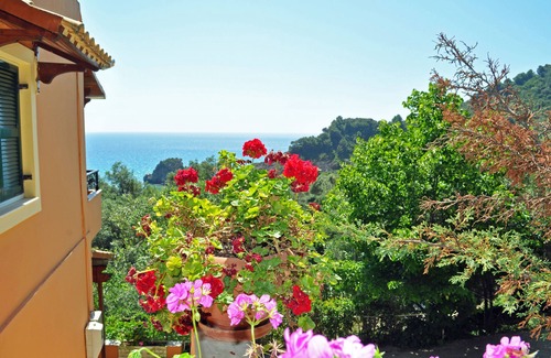 Parelia Apartment | Apartments Papadatos - Pelekas Beach, Corfu