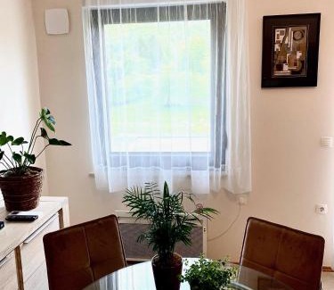 Kobarid Apartment | Apartments Pri nas