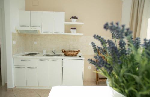 Novalja Apartment | Apartments Rina