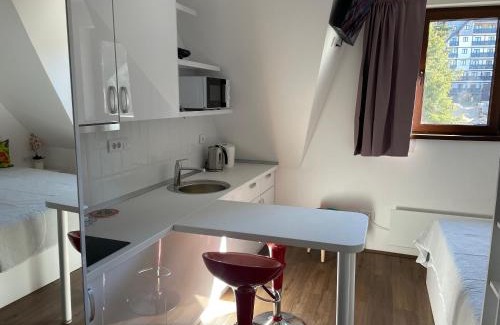 Kopaonik Apartment | Apartments Sia-M3