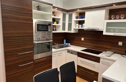 Brno Apartment | Apartments Spačilova nearly center