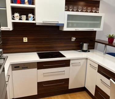 Brno Apartment | Apartments Spačilova nearly center