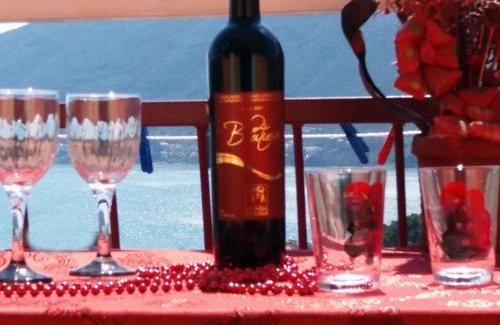Trebesinj Apartment | Apartments Sun Igalo Montenegro