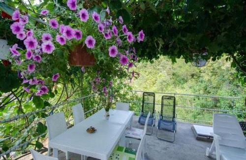 Orebic Apartment | Apartments Vesela - Premium One Bedroom Apartment with Terrace and Partial Sea View