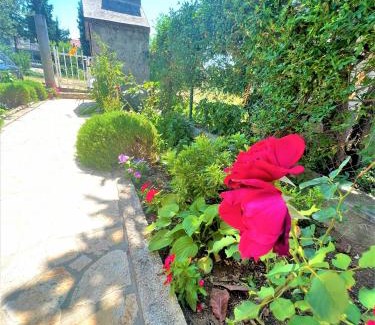 Gornji Karin Apartment | Apartments Višić